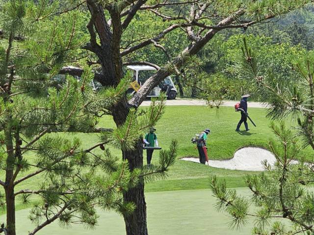 코스 관리 중인 더헤븐CC 직원들. 사진=이종호 기자