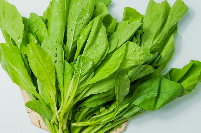 시금치