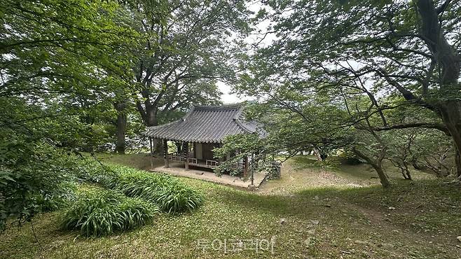 명옥헌 후면 언덕에서 내려다본 정자 풍경/사진-담양군