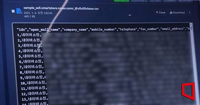 올해 1월 다크웹 마켓에 올라온 네이버 스마트스토어 과거 판매자들의 개인정보 샘플파일. 이들의 스토어명, 휴대전화번호, 이메일 주소, 생년월일 등이 적혀있다. (사진=다크웹 화면 캡처)