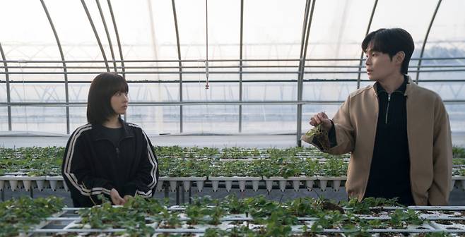 드라마 '미지의 서울'에서 미지인 척하는 미래(박보영, 왼쪽)와 할아버지 딸기 농장에서 농사를 하는 농장주 한세진(류경수). 세진은 미지(미래)에게 '소문'을 극복하고 스스로를 증명해 내며 은근 애정 고백도 하는 자신의 방식을 넉살 좋게 이야기하고 미래는 그를 통해 깨달음을 얻는다. /tvN