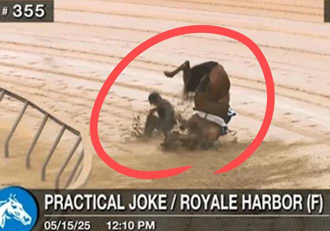 언더태크쇼 중 넘어지는 말.[PETA 홈페이지 갈무리]