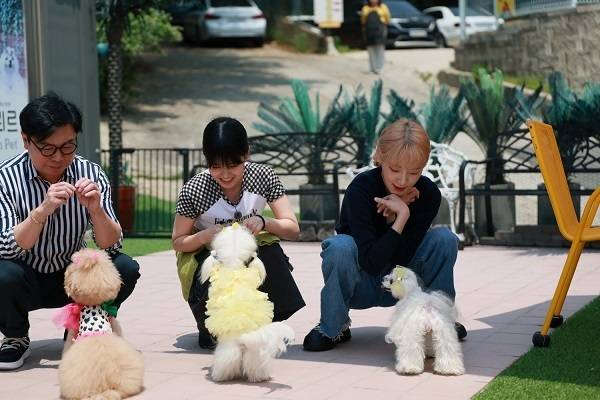 채널S ‘임원희의 미식전파사’