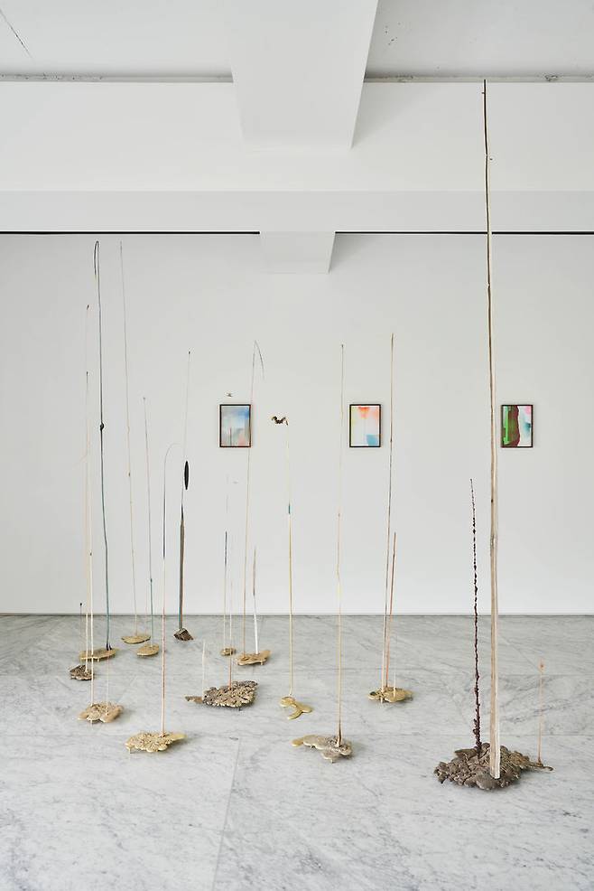 구현모 개인전 전시 전경. Installation view of Echoes from the Cabinet at PKM+ *재판매 및 DB 금지