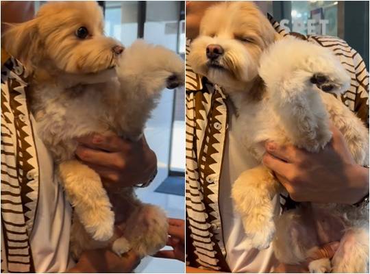 /사진=한예슬 개인계정