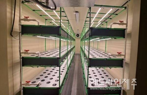 고추냉이 재배베드(사진=제주특별자치도농업기술원)