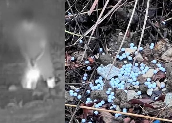 (JTBC '아침&' 갈무리)