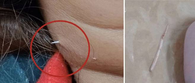 사진출처=페이스북, 워크포인트 뉴스