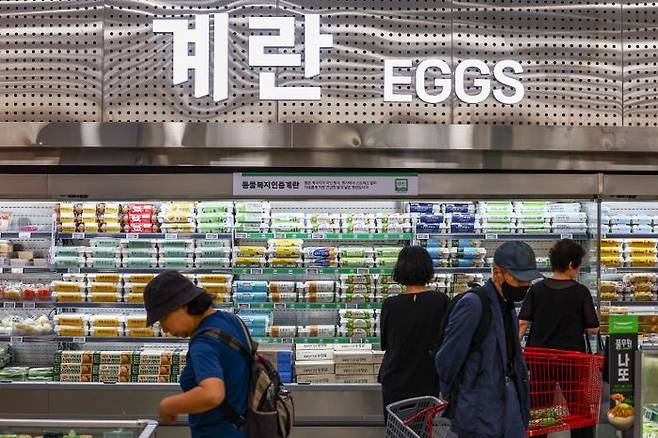 서울 시내 한 대형마트에서 소비자들이 장을 보고 있다.ⓒ뉴시스