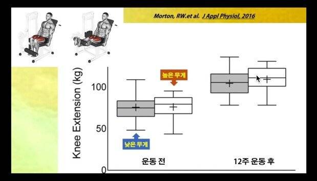 1717d638bb63175f.jpg 서울대 교수님 피셜 근육 늘리는 법 서울대 교수님 피셜 근육 늘리는 법...jpg 서울대 교수님 피셜 근육 늘리는 법...jpg