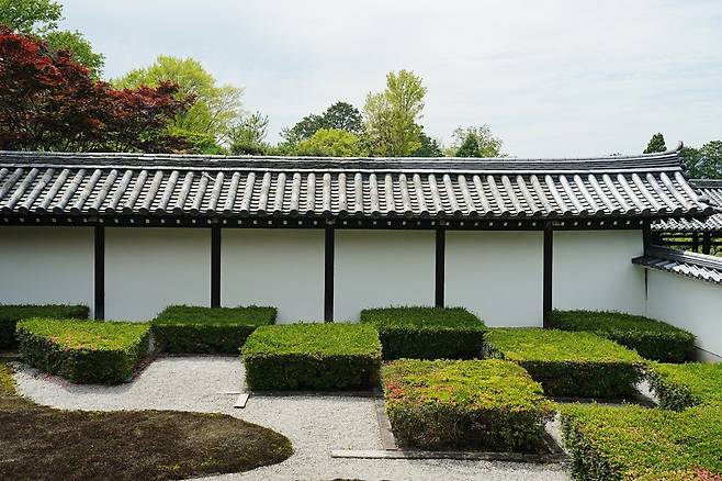 DSC03126.JPG (스압) 간사이 여행 사진