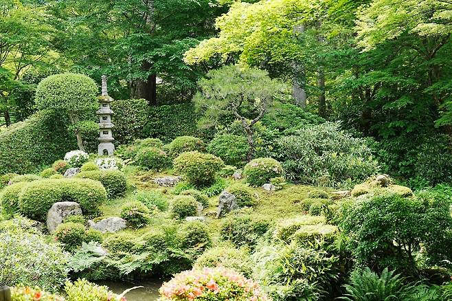 DSC03189.JPG (스압) 간사이 여행 사진