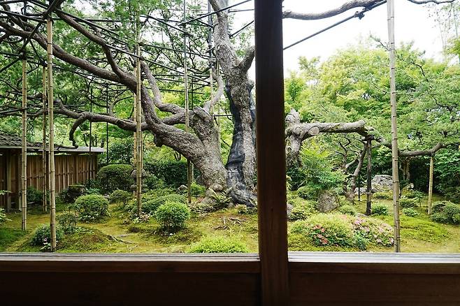 DSC03263.JPG (스압) 간사이 여행 사진