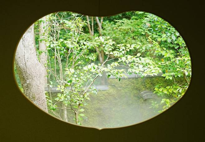 DSC03513.JPG (스압) 간사이 여행 사진