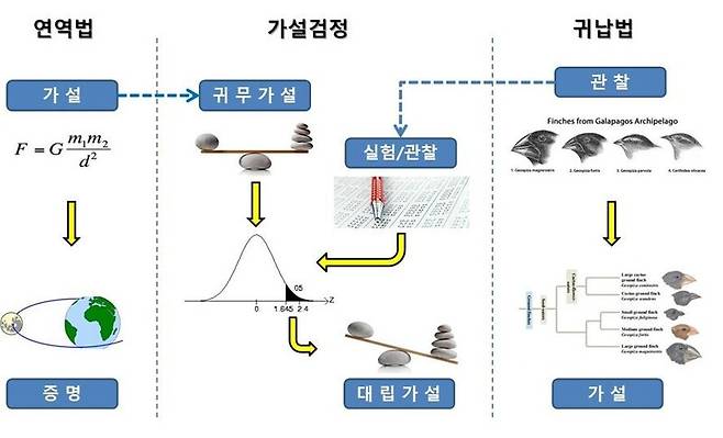 그림1. 연역법과 귀납법의 혼합인 통계적 가설 검정