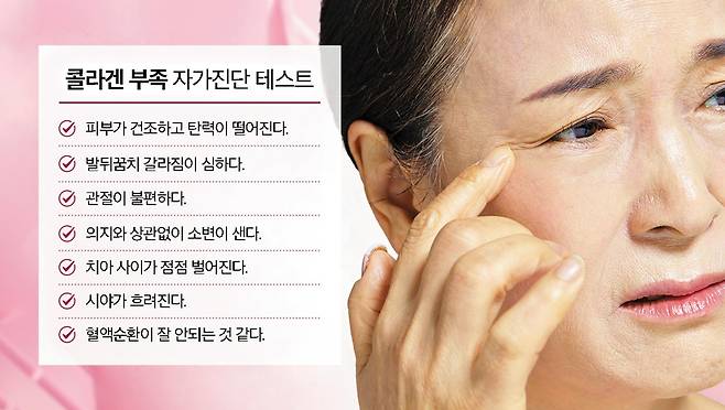 콜라겐은 혈관, 관절, 잇몸 등 전신 건강에 영향을 미친다.