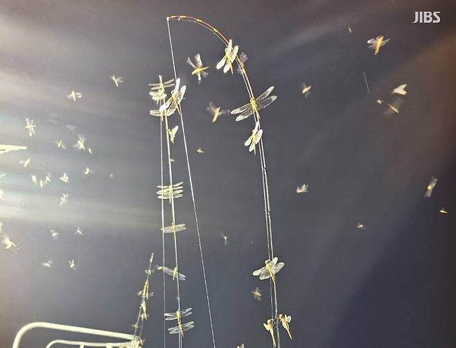 오늘(18일) 새벽 제주 앞바다에서 낚싯배를 덮친 잠자리 떼의 모습 (사진, 나폴리호 제공)