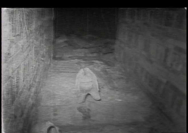 ▲1971년 ‘무령왕릉’ 발굴 현장