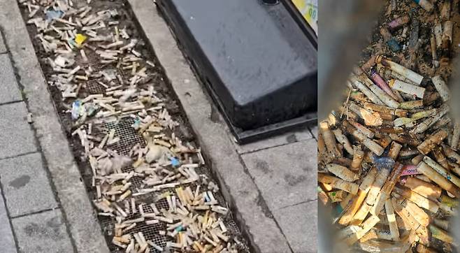 출처=1trash1follow, 유지희 기자