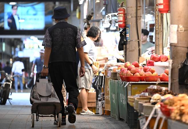 서울 동대문구 경동시장을 찾은 한 시민이 상점을 지나고 있다. [헤럴드경제DB]