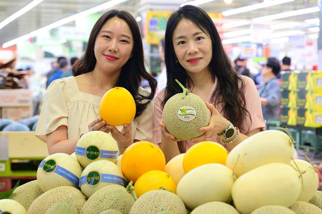 농협유통 서울 양재점에서 관계자들이 다양한 색깔의 멜론을 들어보이고 있다. 농협유통
