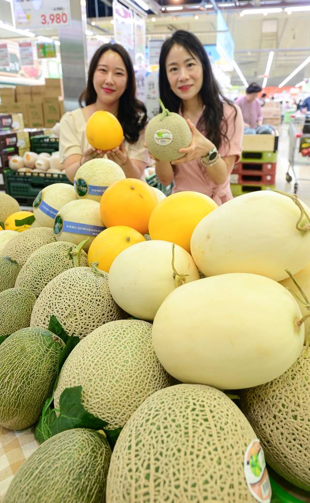 농협유통 서울 양재점에서 관계자들이 다양한 색깔의 멜론을 들어보이고 있다. 농협유통