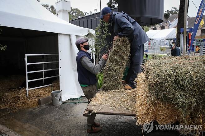 건초 옮기는 우루과이 농부 [EPA 연합뉴스 자료사진. 재판매 및 DB 금지]