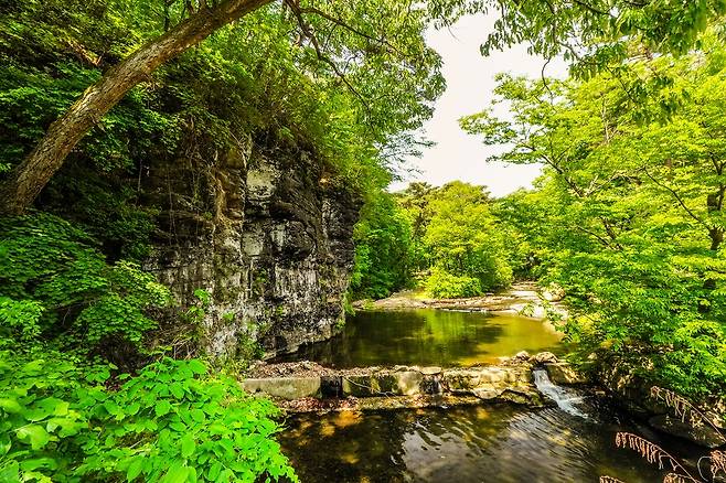 은해사 계곡[사진/백승렬 기자]