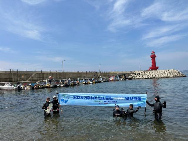 지난 5월 영도 중리해변에서 개최한 '2025 비치코밍' 행사 모습. 이날 영도 해녀들은 바닷속을 청소했다. 부산문화재단 제공