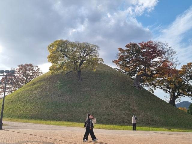 단일 봉분으로는 가장 규모가 큰 봉황대. 뮤직스퀘어 등 경주 문화행사의 중심이 되고 있다.