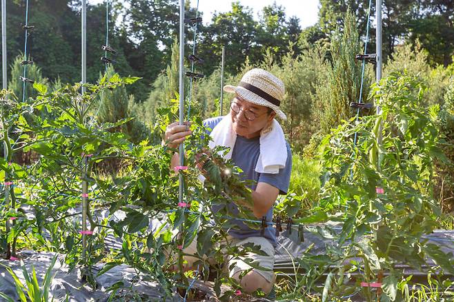 운동을 따로 하지 않는데도 활기가 넘치고, 건강을 튼튼하게 유지하는 사람들은 생활 방식 자체가 활동적인 경우가 많다. [사진=클립아트코리아]