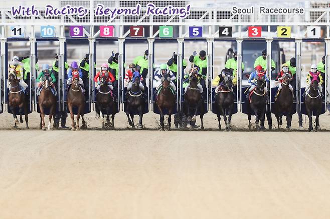 경마 일반경주의 모습. (한국마사회 제공)