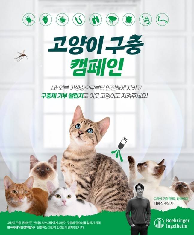 고양이 구충 캠페인(한국베링거인겔하임동물약품 제공) ⓒ 뉴스1