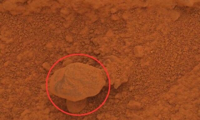 사진=UFO Sightings Dailay