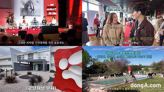 시각장애인 반려인 원샷한솔(반려견 토리)이 로얄캐닌 프랑스 본사에서 진행된 벳 심포지엄 2025에 참석해 행사와 본사, 사료 공장을 방문한 이야기를 영상으로 공개했다.