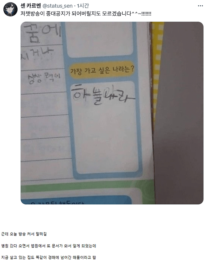 부동산 사기 연속으로 2번 당한 버튜버