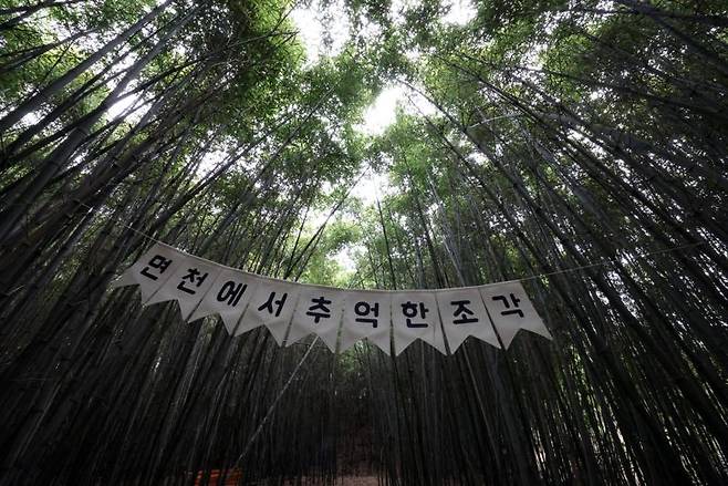 면천읍성 대숲바람길. 사진=박범준 기자