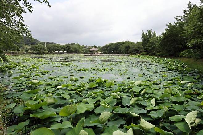 연암 박지원이 면천군수 때 조성한 골정지. 사진=박범준 기자