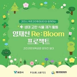 ‘양재천 Re:Bloom 프로젝트’