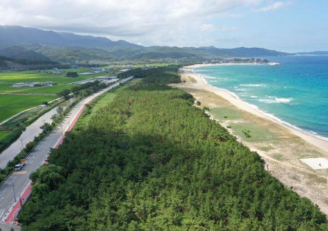 경북 영덕군 고래불해수욕장 전경. 경북도 제공