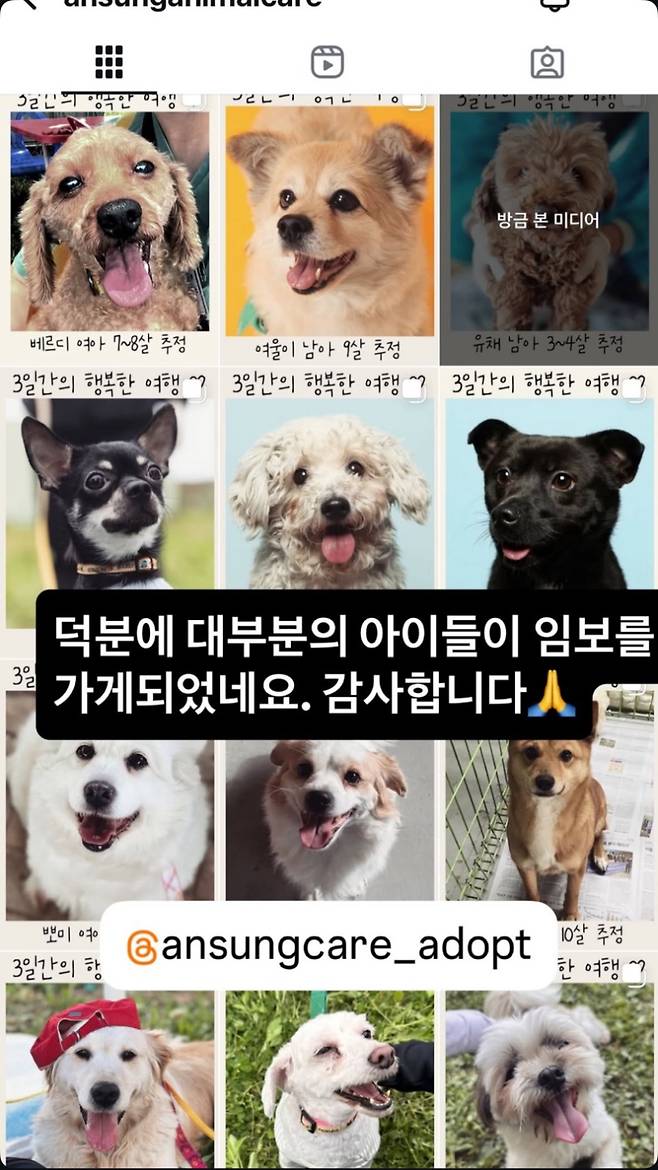 사진=이효리 SNS.