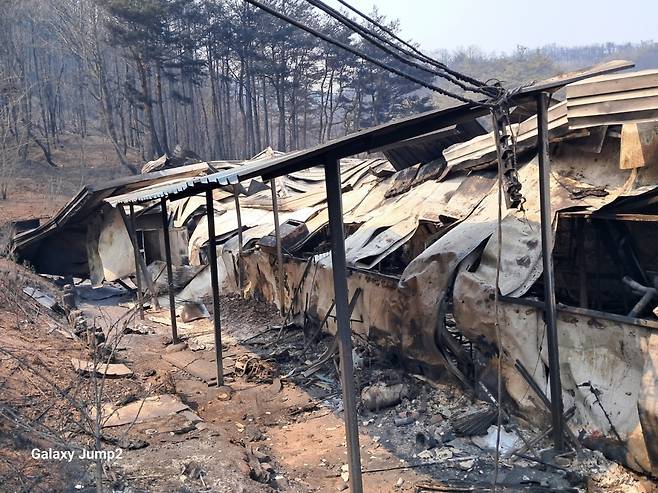 지난 3월 산불로 전소 된 영덕 새벧엘교회 모습.