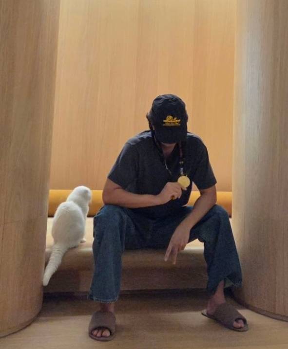 공유 소셜 미디어