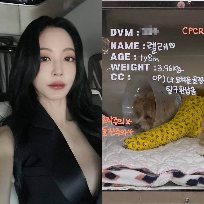 ▲ 출처|한예슬 인스타그램