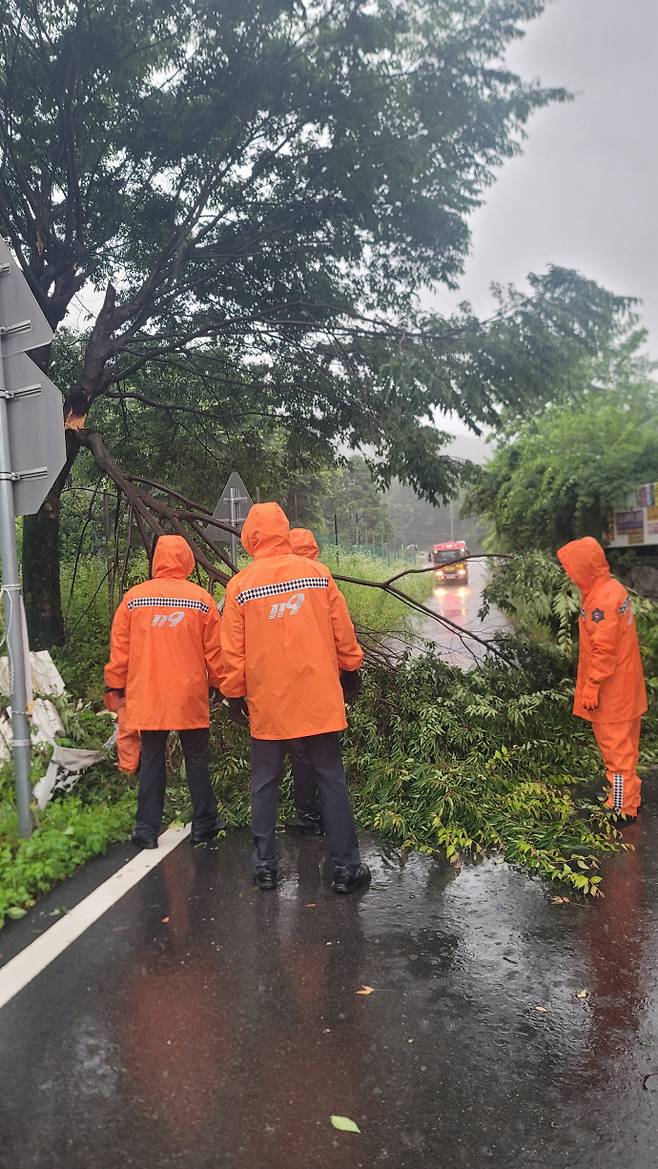 6시 48분께 양주시 장흥면에서 나뭇가지가 부러져 소방당국이 안전 조치를 하고 있다. 사진=경기도북부소방재난본부