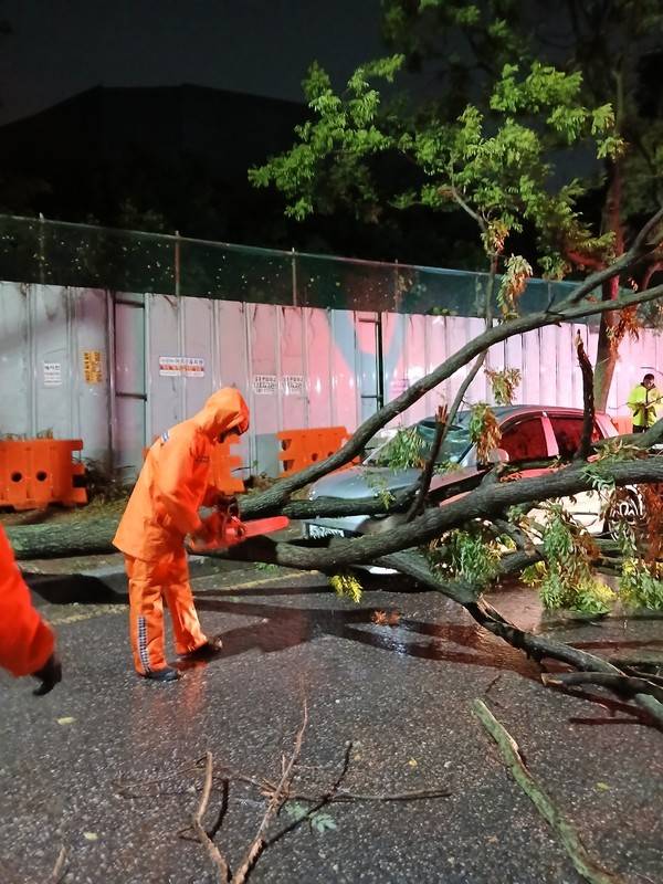 서구 마전동 1055-1 나무전도