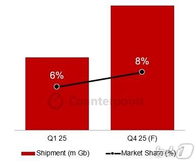 중국 창신메모리테크놀로지(CXMT) 1~4분기 D램 출하량 기준 시장 점유율 전망(카운터포인트리서치)