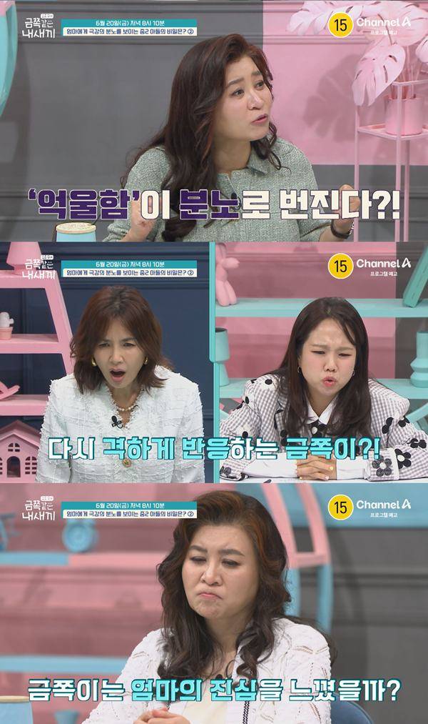 ⓒ채널A