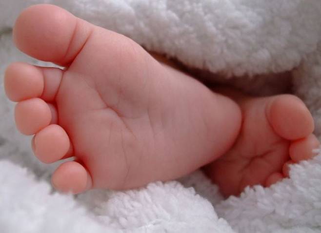 아기발바닥./뉴시스