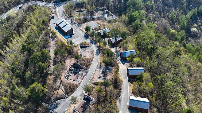 태백의 매봉산 천상의 숲.